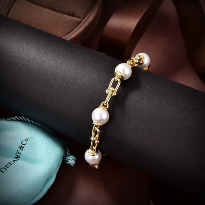 18K Tiffany HardWear Link Bracelet